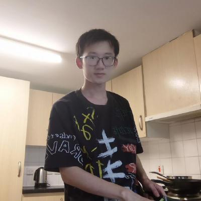 Developer