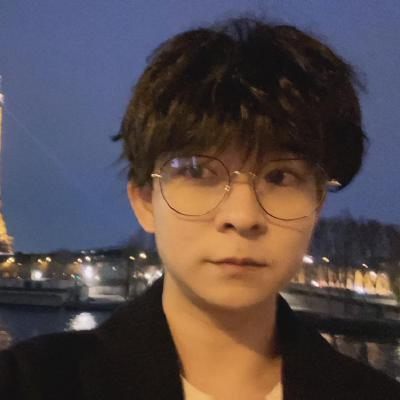 Developer